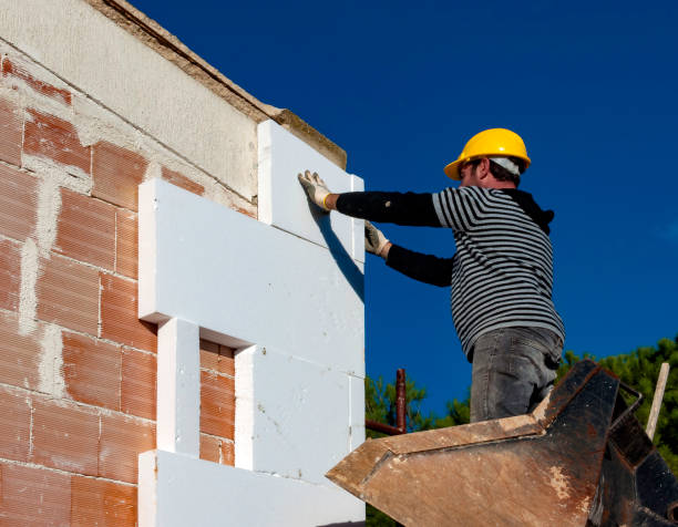 Best Cellulose Insulation in Ashland, VA