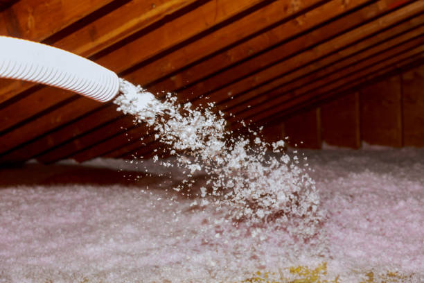 Types of Insulation We Offer in Ashland, VA