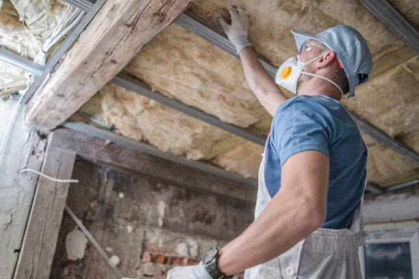 Best Commercial Insulation in Ashland, VA