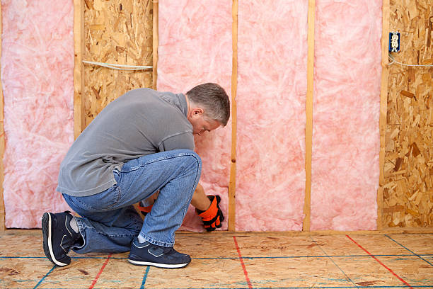 Best Energy Efficiency Insulation in Ashland, VA