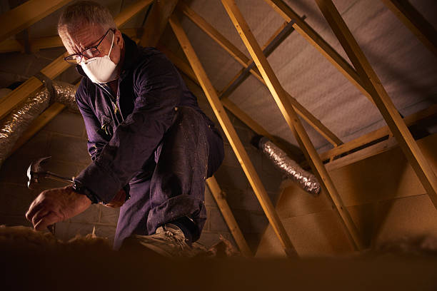 Best Eco-Friendly Insulation in Ashland, VA