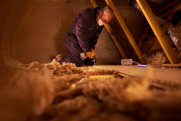 Best DIY Insulation Kits and Guidance in Ashland, VA